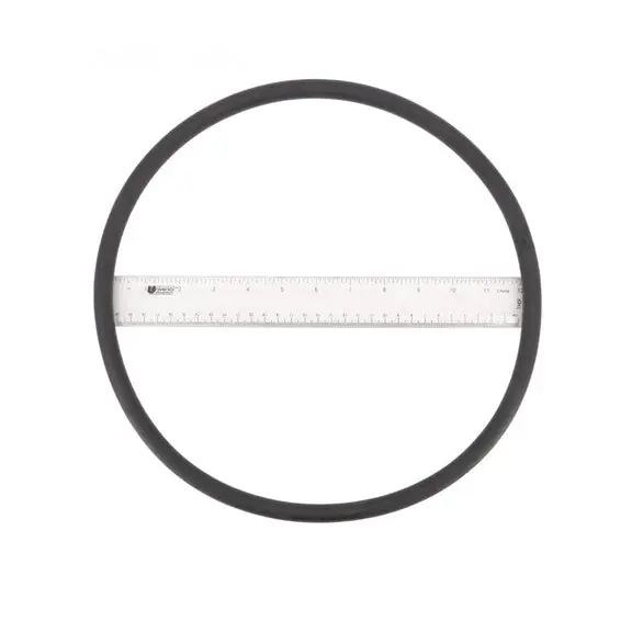 Aladdin Equipment O-289 Swimrite O-Ring Apco289