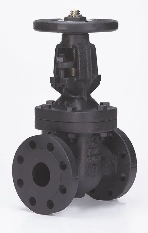 Milwaukee Valves 2894-M-300 3 inch Cast Iron Solid Wedge Gate Valve