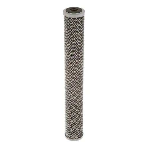Everpure 252-00220 CTO-20 Water Filter Cartridge