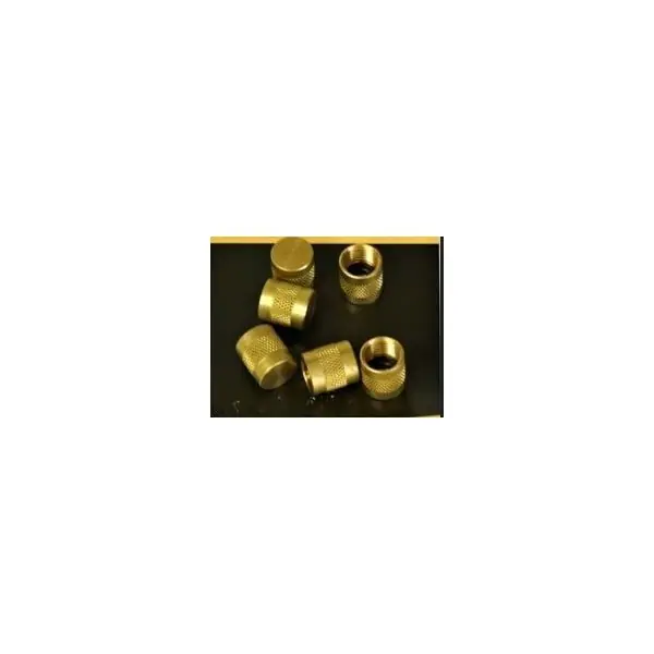 Refrigerating Specialties 205792 Seal Cap Kit for A8 Series