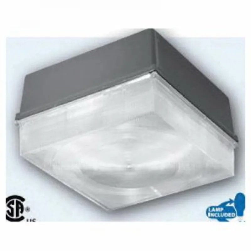 Hubbell NRG-413P8 NRG 4000 Outdoor Flood Light