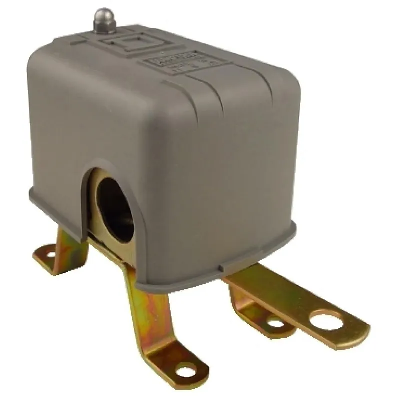 Schneider Electric 9036DG2C Float Switch