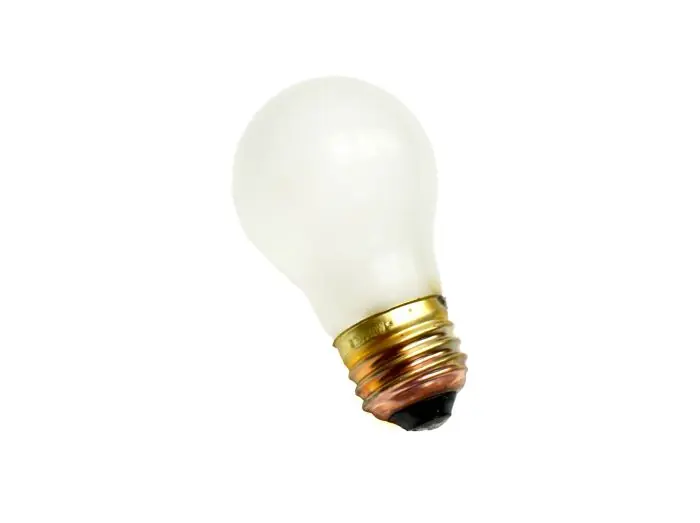 SHAT-R-SHIELD 01132NM Shatter-Resistant Incandescent Lamp