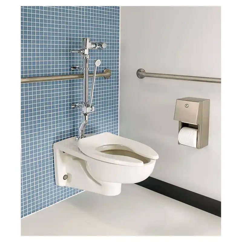STANDARD 6047821.002 Ultima Manual Flush Valve with Bedpan Washer