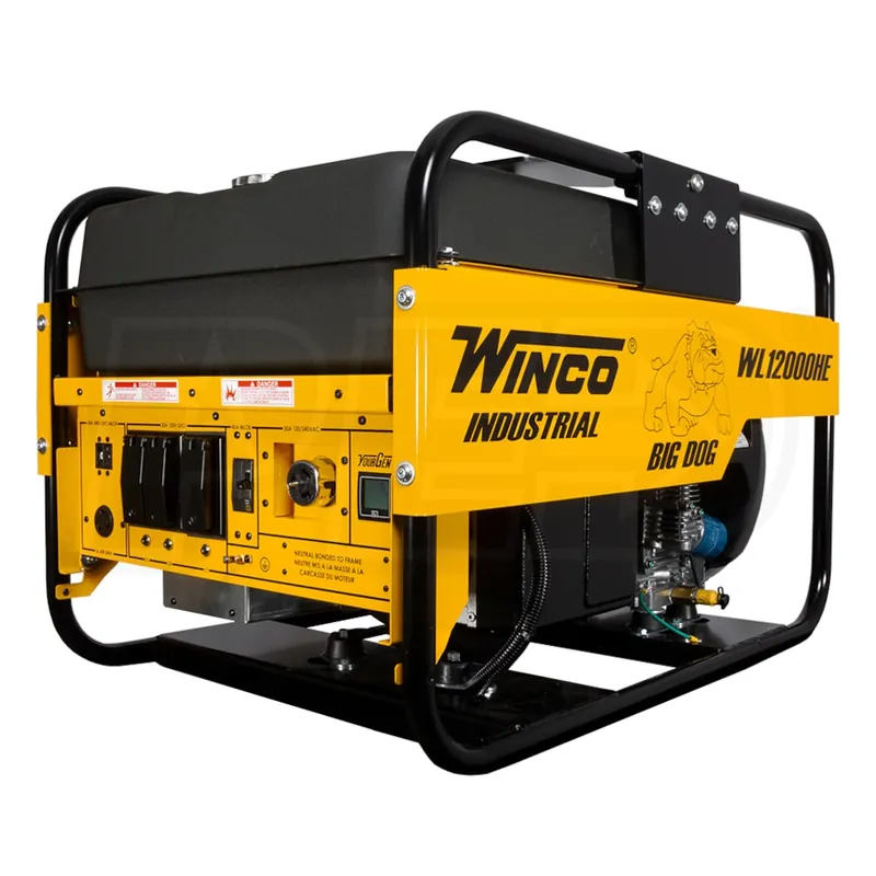 Winco 24012-030 WL12000HE-03/D Portable Generator
