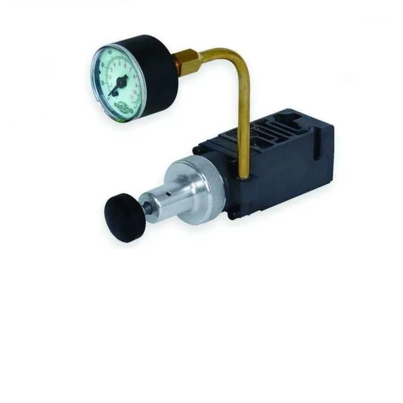 TYLOK 081RS100J000000 Single Pressure Regulator
