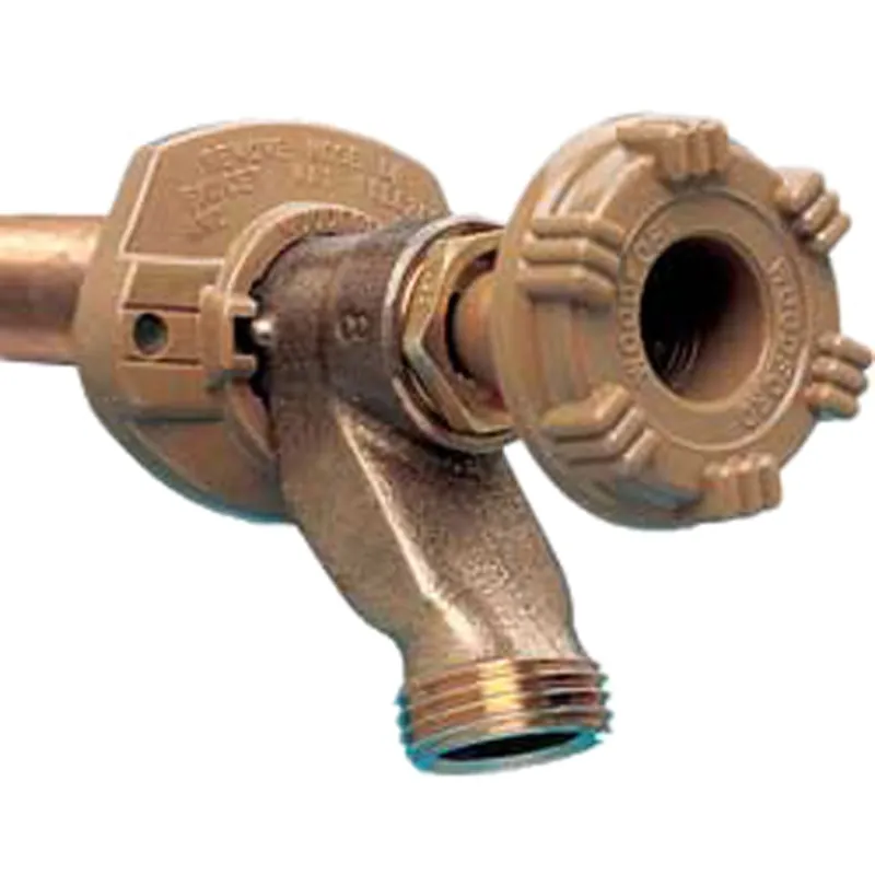 Woodford 14CP-24 Model 14 Freezeless Residential Wall Faucet