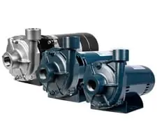 Franklin Electric CS-1 Transfer Pump