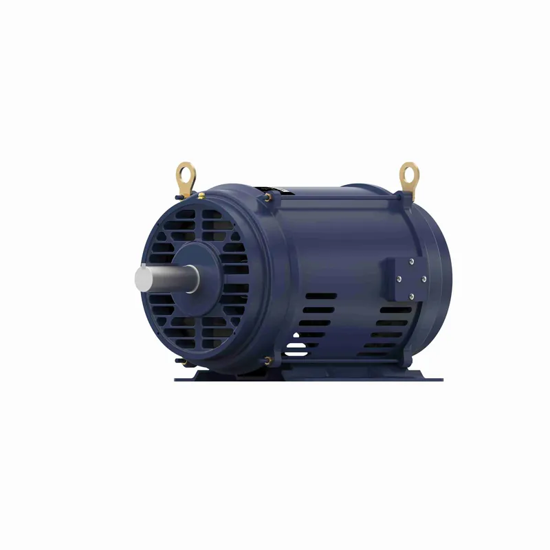 Marathon Motors GT0859 Three Phase Globetrotter Motor
