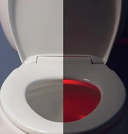 BEMIS 1200E3NL-000 Affinity Elongated Lumalight Toilet Seat
