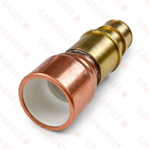 Chief 645WG4P 1 Expansion PEX (F1960) x 1 PVC Pipe Adapter, Lead-Free