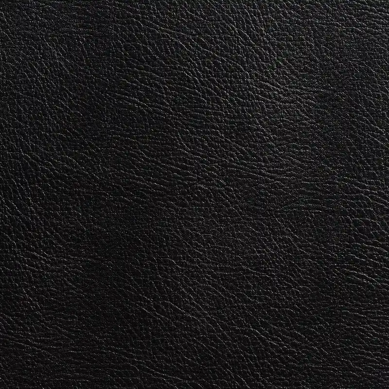 Charlotte 7982 Coal Fabric