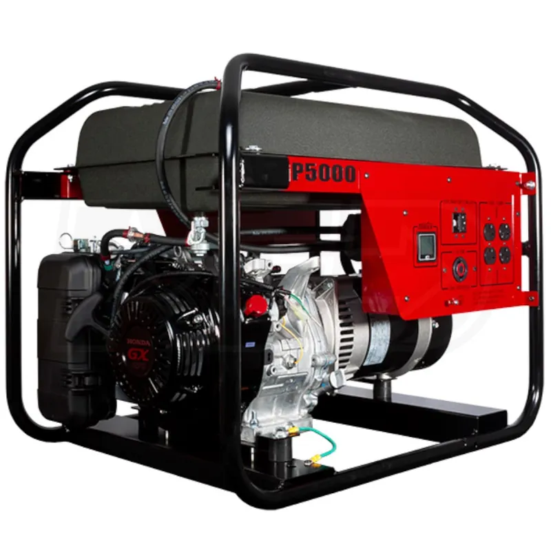 WINCO 29005-006 DP5000HR Portable Generator