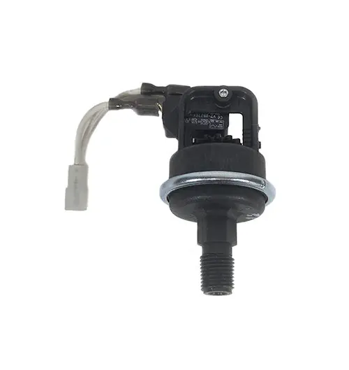 Pentair 475956Z Water Pressure Switch
