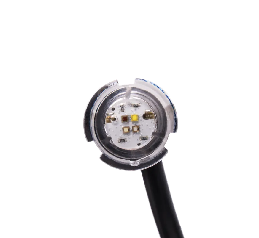 Pentair 602269 IntelliVibe Nano Light 12V 1 Inch