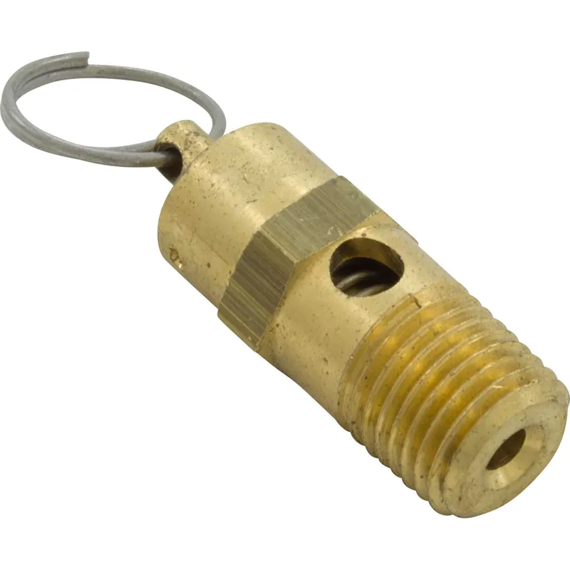 Pentair 350087Z Pressure Relief Valve EQ Series 1/4 MPT
