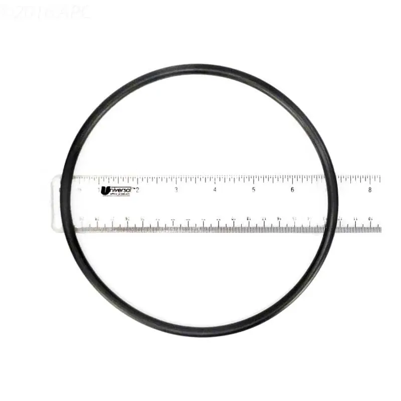 Pentair 219001Z O-Ring for LeafVac Lid Replacement