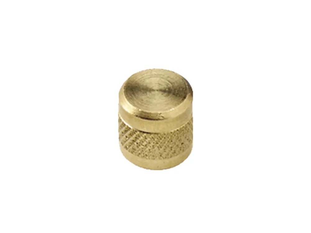 CPS AVC4C 1/4-in SAE Brass Cap with Chain Tether (2-Pack) Replacement MPN