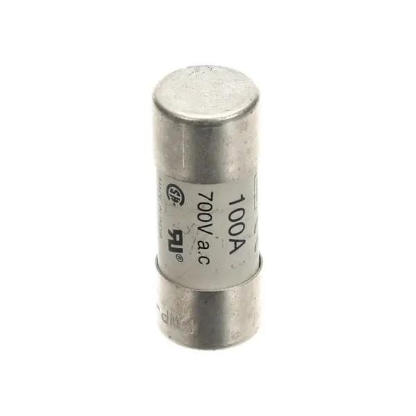 Electrolux 0CA148 Fuse 700V 100A 22X58