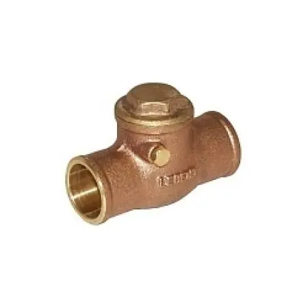 Legend Valve 105-209NL 2-1/2 S-451 Check Valve NL