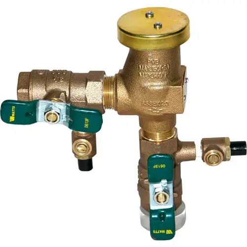 Watts 0387122 800M4-QT-FZ Vacuum Breaker