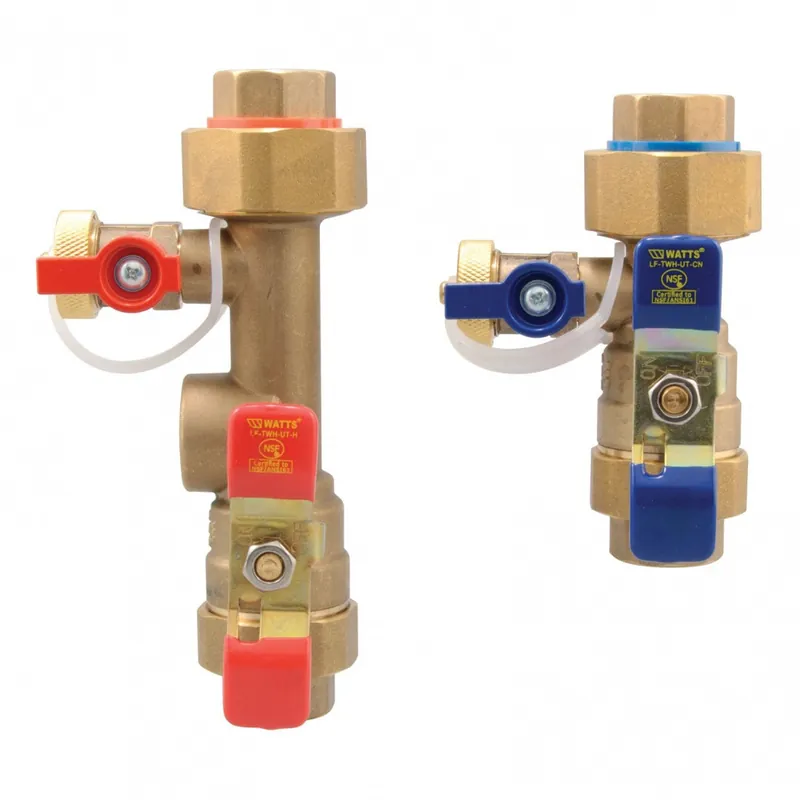 Watts 0100165 Tankless Water Heater Valve Set 1 in FNPT x Socket