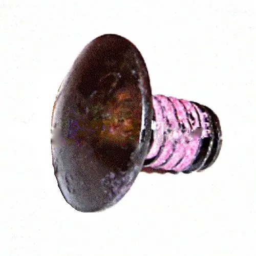 Karcher 9.196-308.0 5/16-18 X 1/2 Carriage Bolt A3