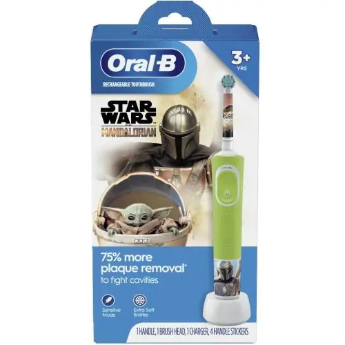 Oral-B 80760001 D100.413.2K NA GN HBOX PTHBR S