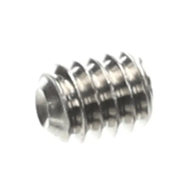 Champion 0501395 Screw Socket 1/4-20X5/16 SS