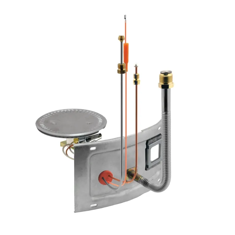 Rheem AM41866 Burner Assembly