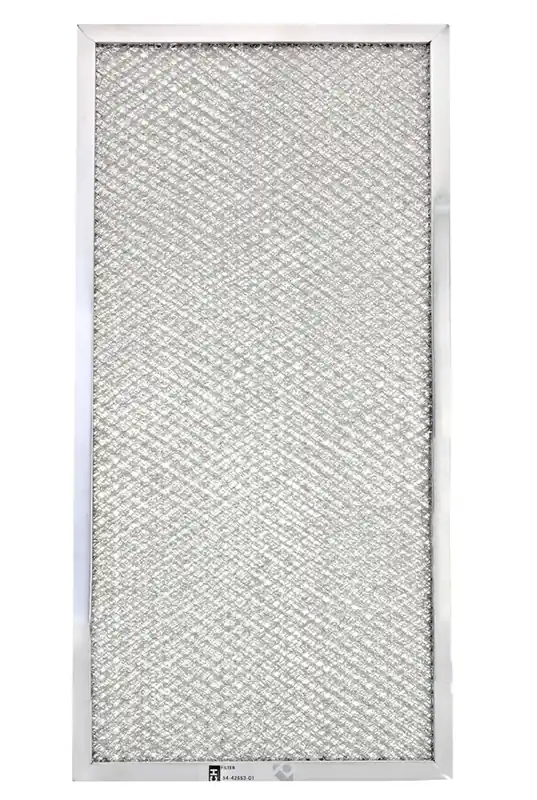 Rheem 54-42553-01 Permanent Filter