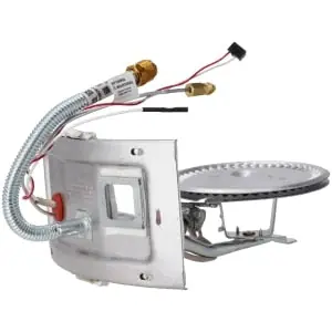 Rheem SP45395 Burner Assembly Kit