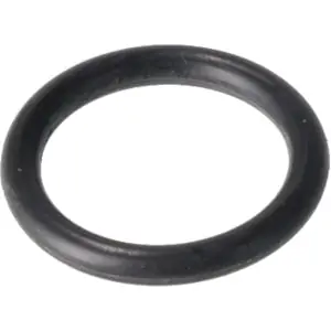 RHEEM 1149-001 O-Ring