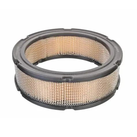 RHEEM 841359 Cartridge Air Cleaner