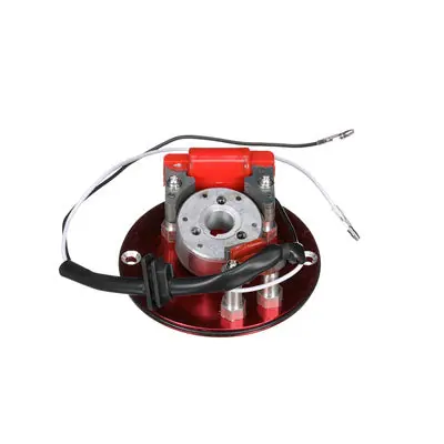 RHEEM SP48916 Burner Assembly - 30G NG With Piezo Kit