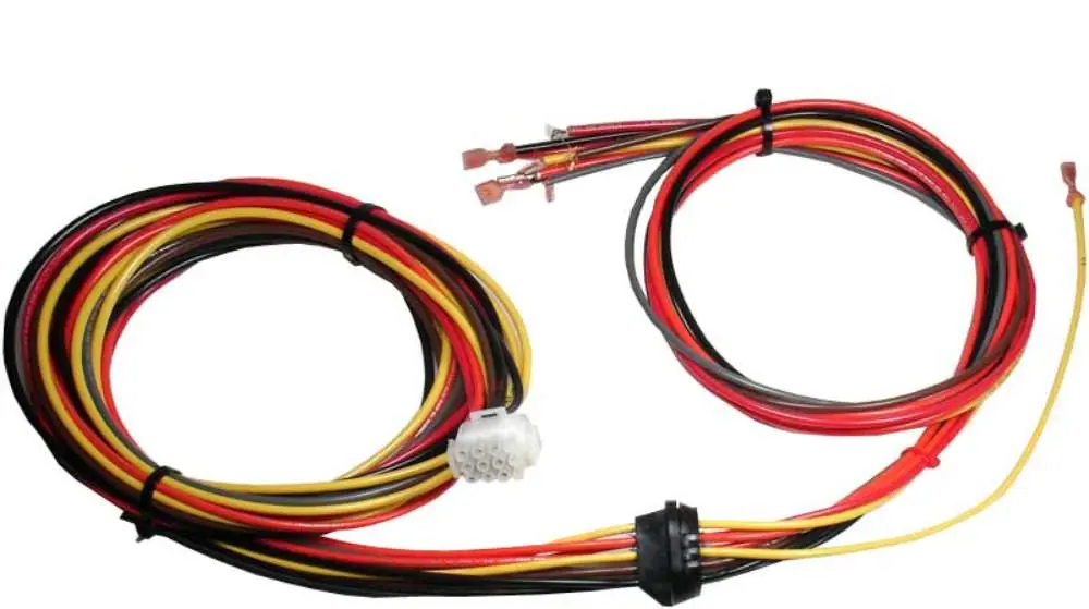 RHEEM 45-42522-20 Wiring Harness