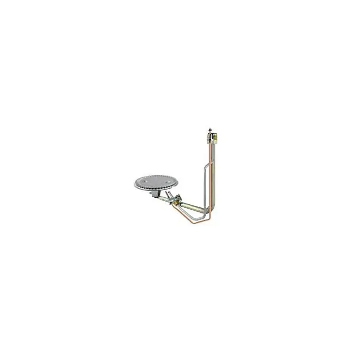 RHEEM AM35050EJJ Burner Assembly