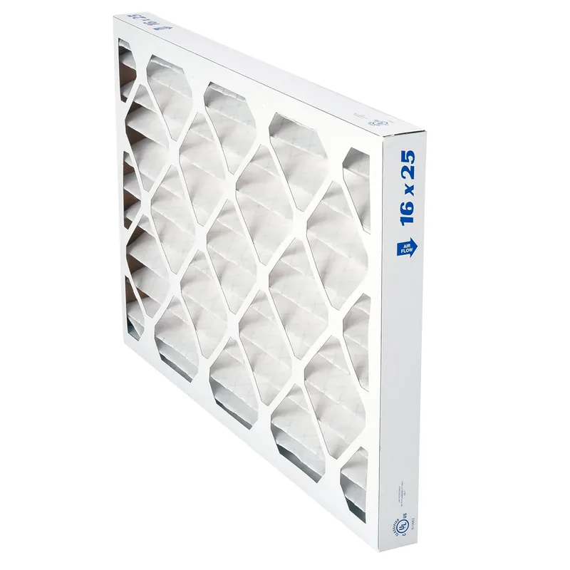Rheem EQP4016252 Pleated Panel Filter 16 in x 25 in x 2 in