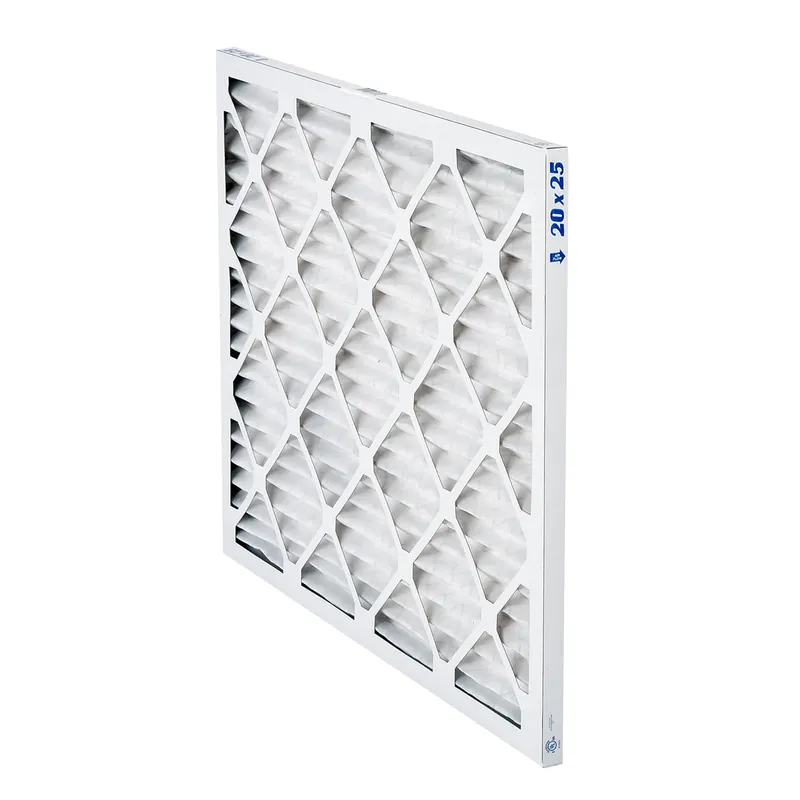 RHEEM EQP4020251 Pleated Panel Filter 20 in x 25 in x 1 in