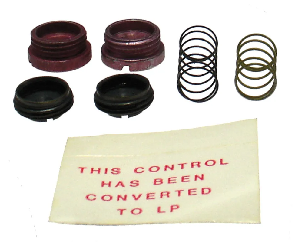 RHEEM 60-18759-07 Gas Valve Spring Kit
