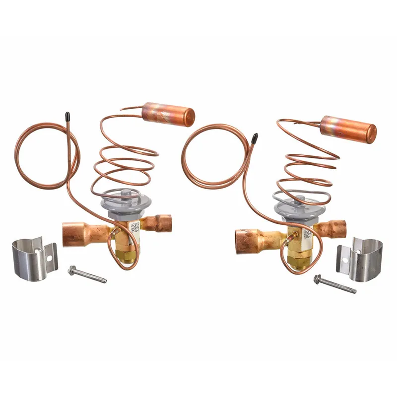 RHEEM RXCT-GAD Rheem RXCT-GAD Thermal Expansion Valve TXV Kit