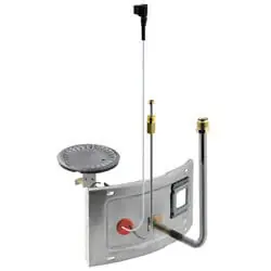 Rheem AM42411 Burner Door Assembly