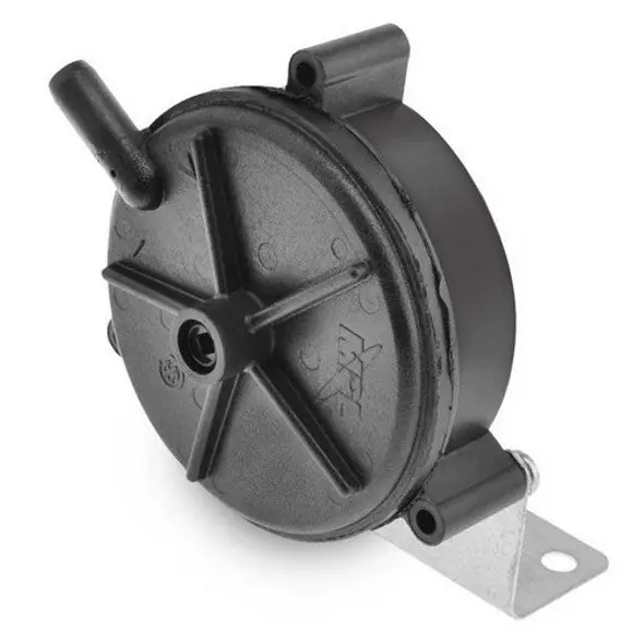 Rheem SP13989 Vacuum Switch Assembly