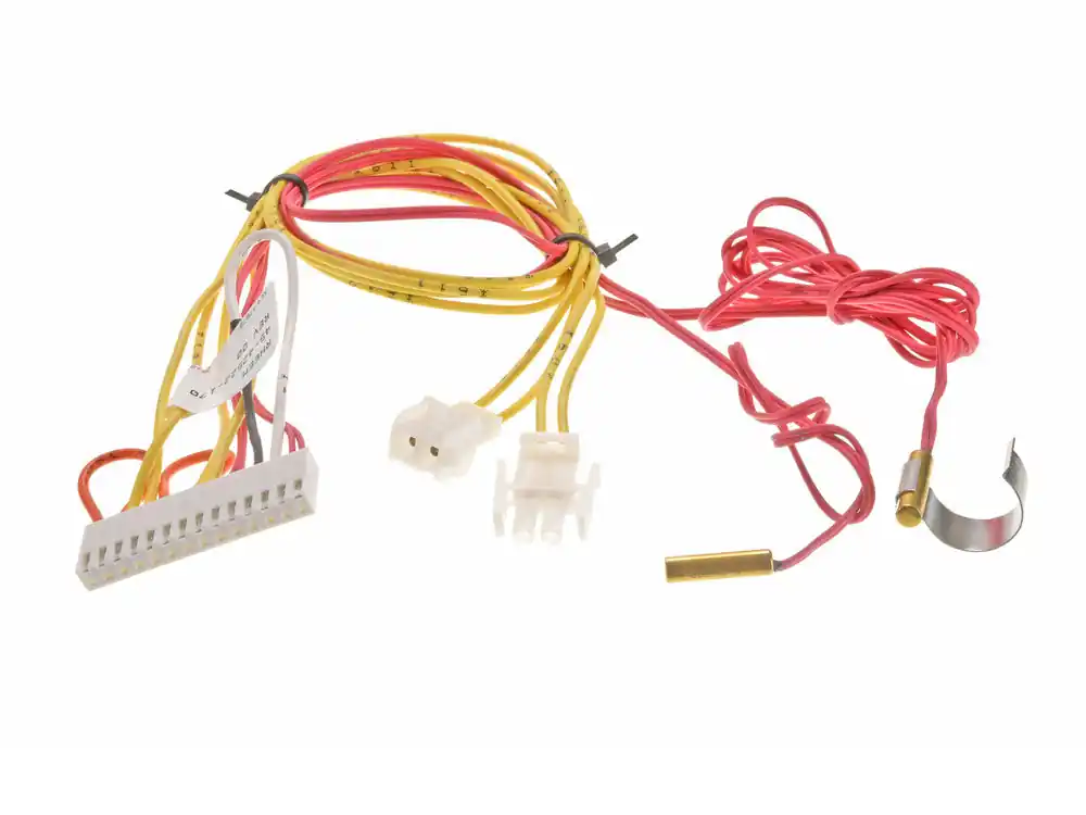 RHEEM 45-42522-170 Wiring Harness