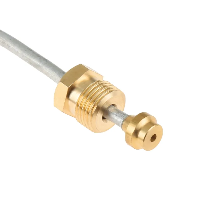 Rheem AP11944B-1 LP Pilot Assembly