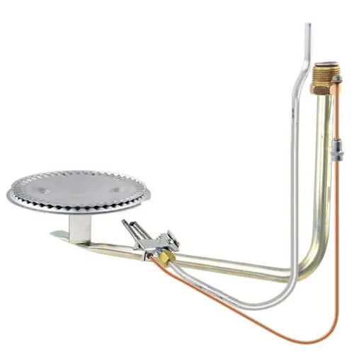 RHEEM AM35375DT Burner/Pilot Assembly (Low NOX)
