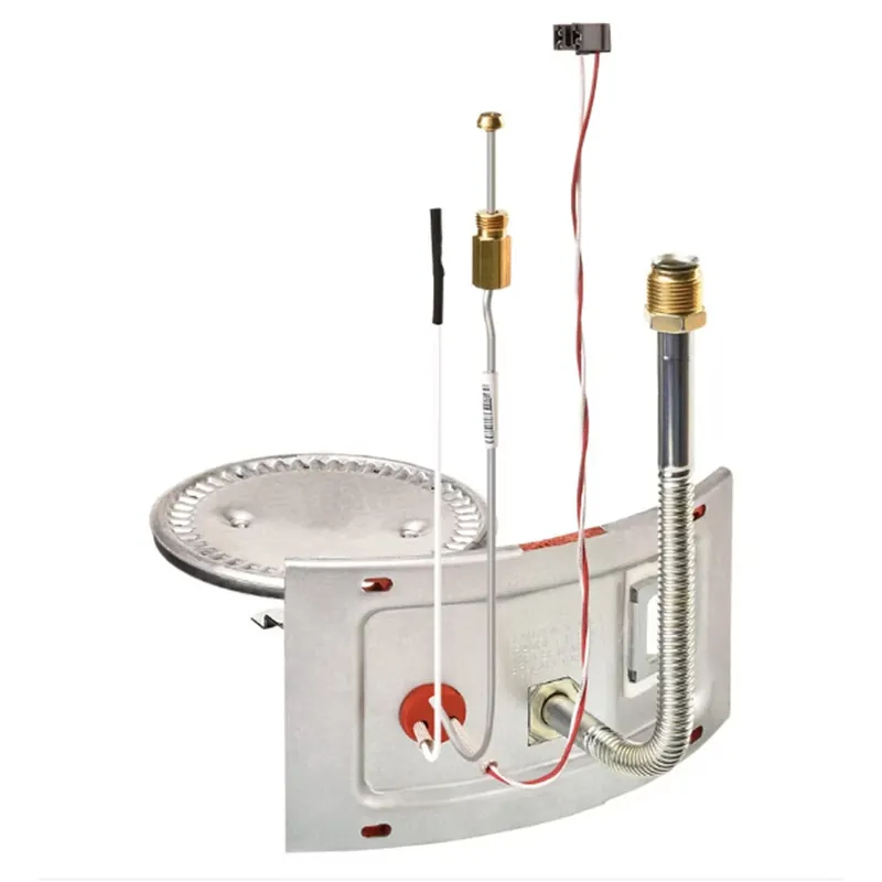 Rheem AM46762 High-Efficiency Burner Assembly