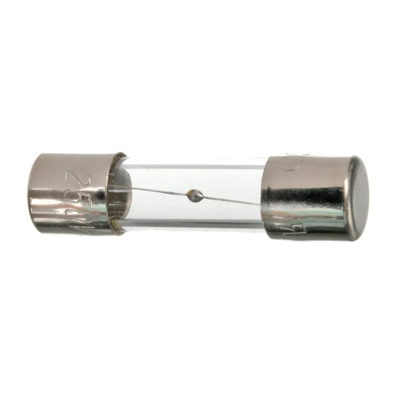 RHEEM RTG20074EE 3A Power Line Fuse