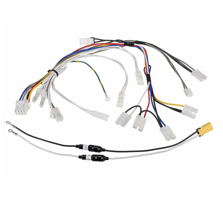 Rheem RTG20239L Gas Control Wiring Harness