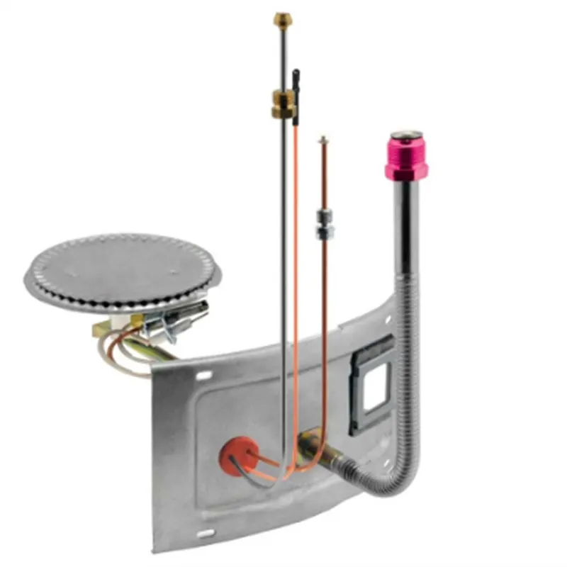 Rheem AM41378 High-Efficiency Burner Assembly